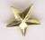 National Gold Meritorious Service Star